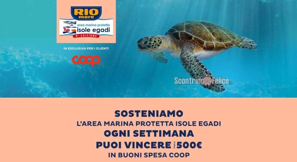 Concorso Rio Mare Per LArea Marina Protetta Delle Isole Egadi