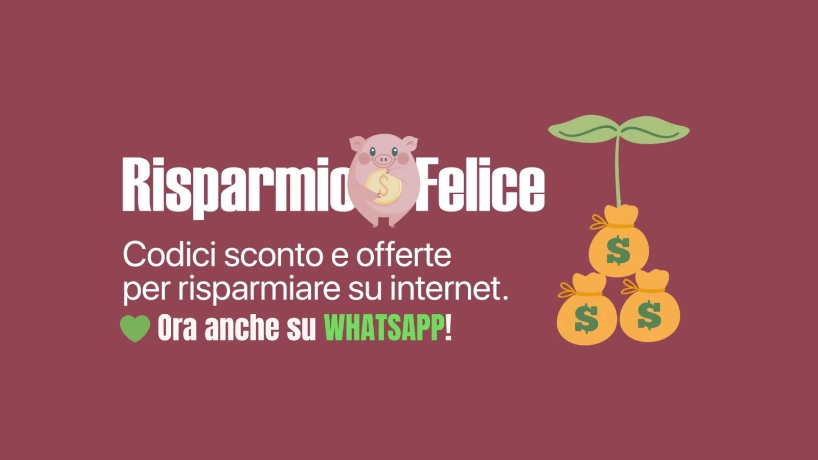 Offerte Amazon: scopri le migliori del momento 1