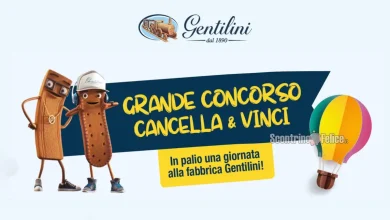 Concorso Gentilini: vinci una giornata alla fabbrica