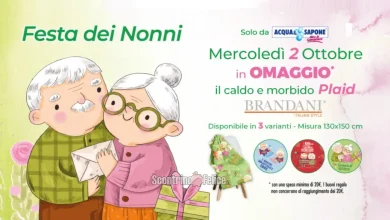 Plaid in regalo per la Festa dei nonni 2024 da Acqua e Sapone