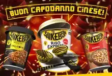 Concorso Saikebon buon capodanno cinese