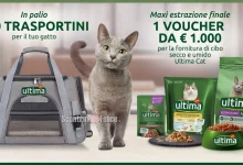 Concorso Ultima Cat: in palio 200 trasportini e fornitura di cibo