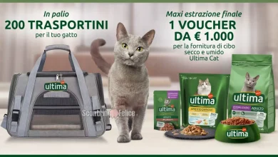 Concorso Ultima Cat: in palio 200 trasportini e fornitura di cibo