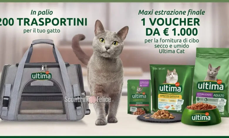 Concorso Ultima Cat: in palio 200 trasportini e fornitura di cibo