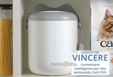 Concorso gratuito Catit: vinci un contenitore per alimenti sottovuoto intelligente PIXI