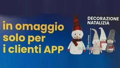 Decorazione natalizia Pupazzo di Neve Eurospin in omaggio: scopri come averla!