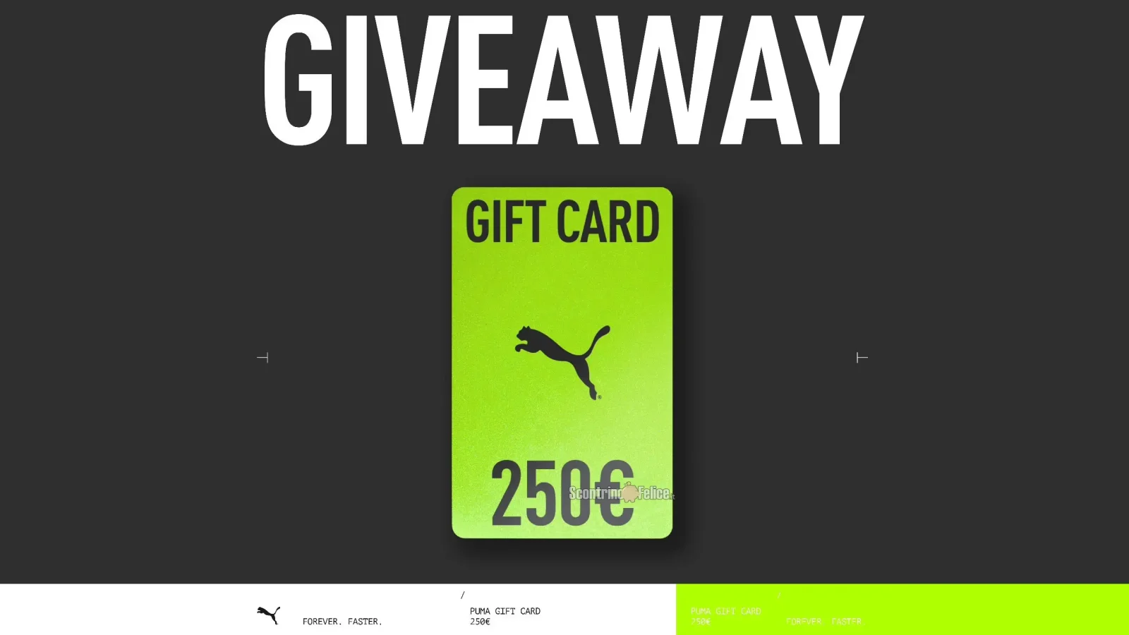 Giveaway Puma Vinci Gift Card Da Euro