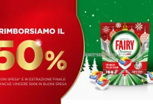 Concorso Fairy Natale