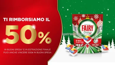 Concorso Fairy Natale