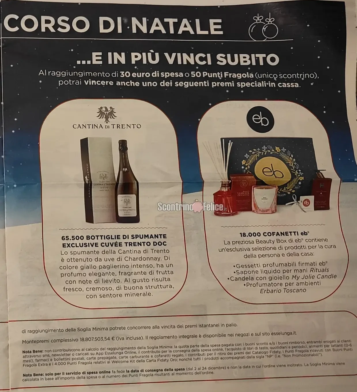 Concorso Esselunga Natale 2024: vinci 5 anni di spesa e tantissimi premi 4